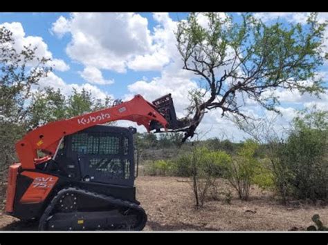 clearing mesquite with skid steer|mesquite tree grubbing.